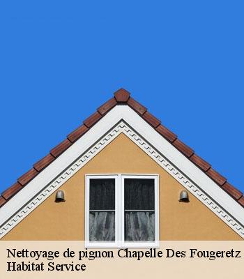 Nettoyage de pignon