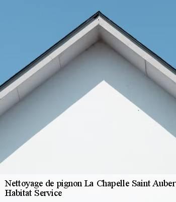 Nettoyage de pignon