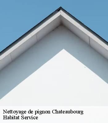 Nettoyage de pignon
