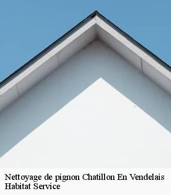 Nettoyage de pignon