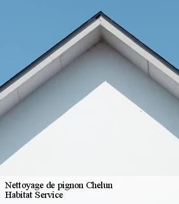 Nettoyage de pignon