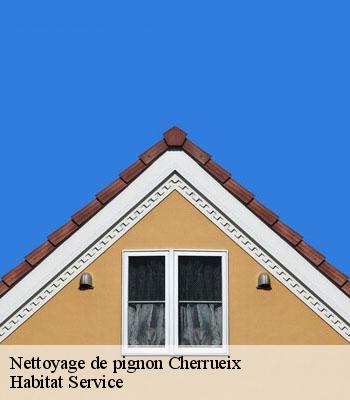 Nettoyage de pignon