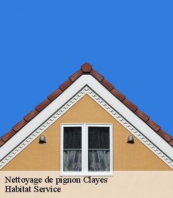 Nettoyage de pignon