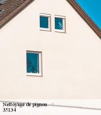 Nettoyage de pignon