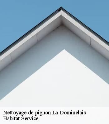 Nettoyage de pignon