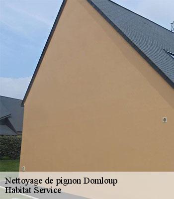 Nettoyage de pignon