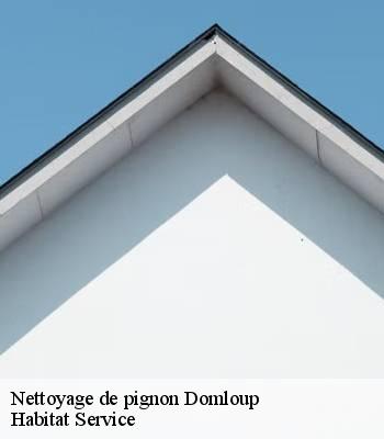 Nettoyage de pignon