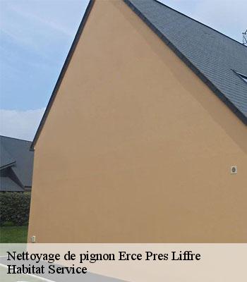 Nettoyage de pignon