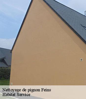 Nettoyage de pignon