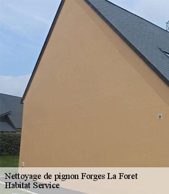Nettoyage de pignon