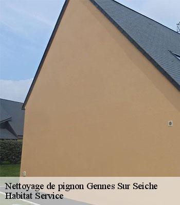 Nettoyage de pignon