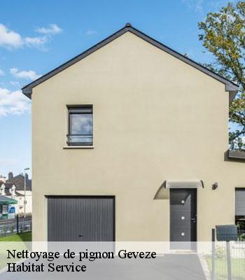 Nettoyage de pignon