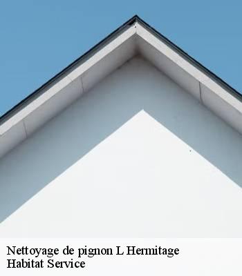 Nettoyage de pignon