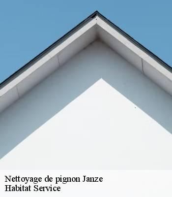 Nettoyage de pignon