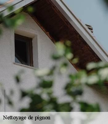 Nettoyage de pignon