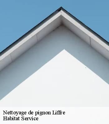 Nettoyage de pignon