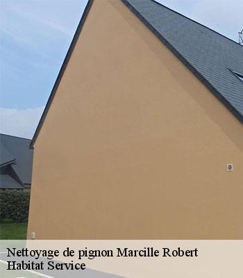 Nettoyage de pignon