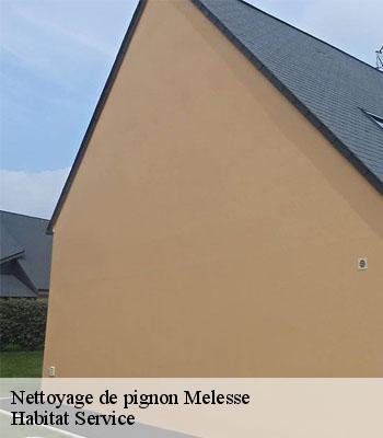 Nettoyage de pignon