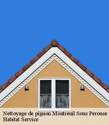 Nettoyage de pignon