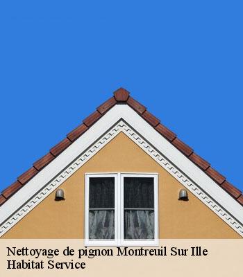 Nettoyage de pignon