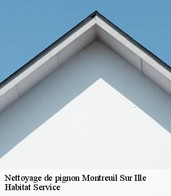 Nettoyage de pignon
