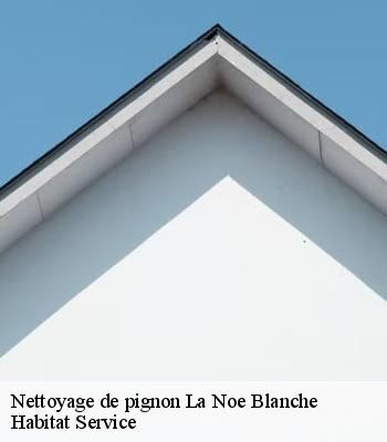 Nettoyage de pignon