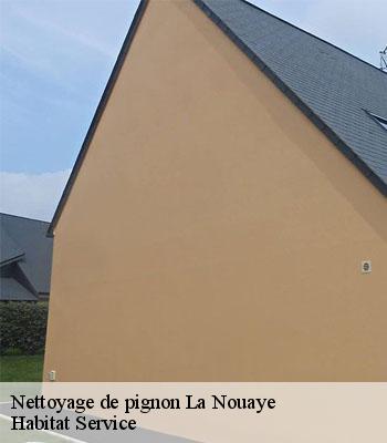 Nettoyage de pignon