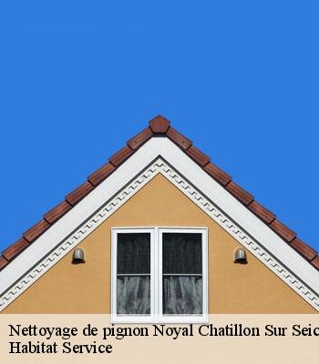 Nettoyage de pignon