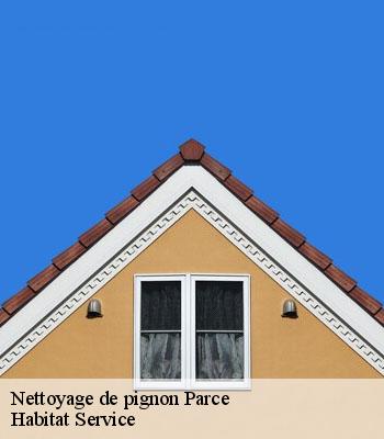 Nettoyage de pignon