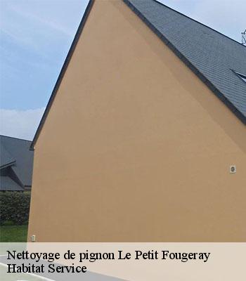Nettoyage de pignon