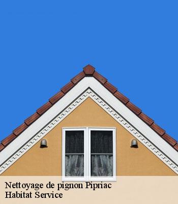 Nettoyage de pignon