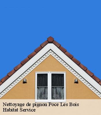 Nettoyage de pignon