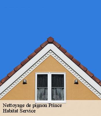 Nettoyage de pignon