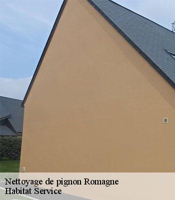 Nettoyage de pignon