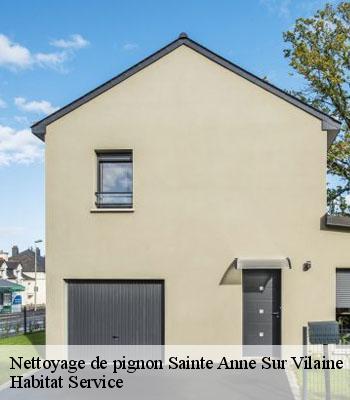Nettoyage de pignon