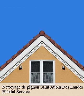 Nettoyage de pignon