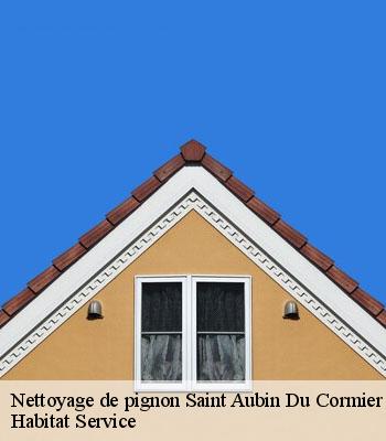Nettoyage de pignon