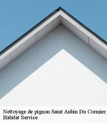 Nettoyage de pignon