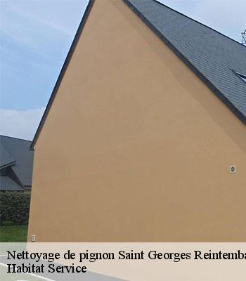Nettoyage de pignon