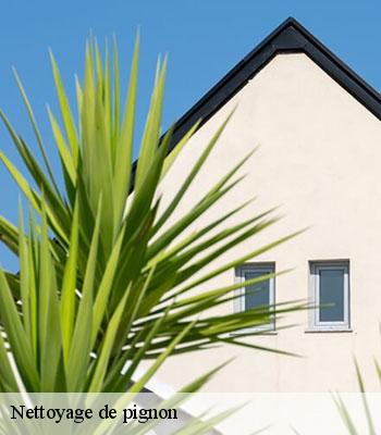 Nettoyage de pignon