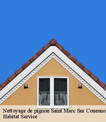 Nettoyage de pignon
