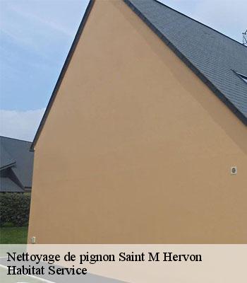 Nettoyage de pignon
