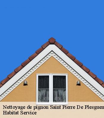 Nettoyage de pignon