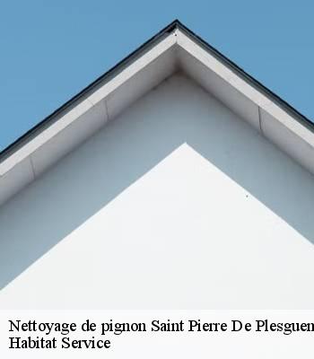 Nettoyage de pignon