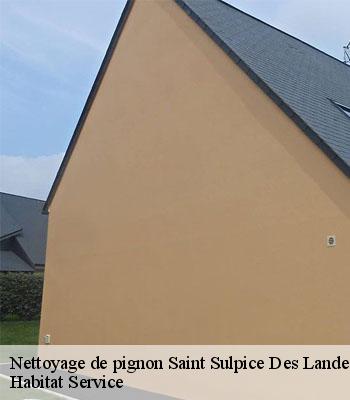 Nettoyage de pignon