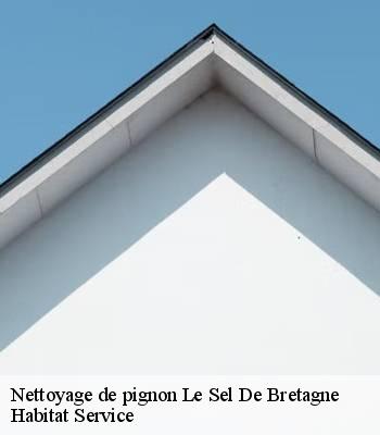 Nettoyage de pignon
