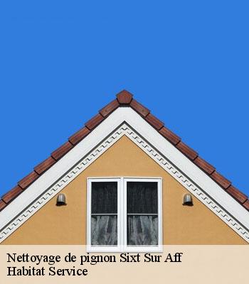 Nettoyage de pignon