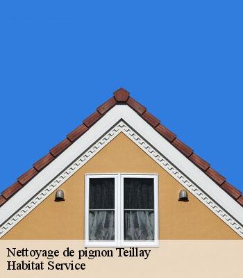 Nettoyage de pignon