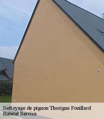 Nettoyage de pignon