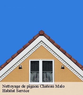 Nettoyage de pignon
